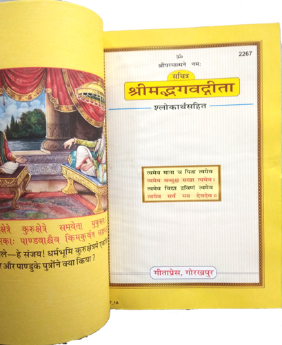 Shrimad Bhagavad Gita Sachitra (Code 2267) Gita Press-img1