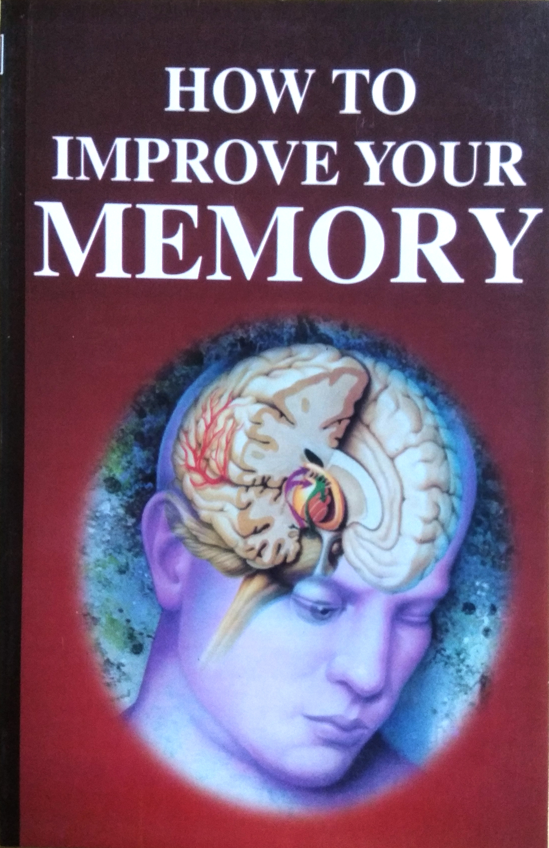 How To Improve Your Memory